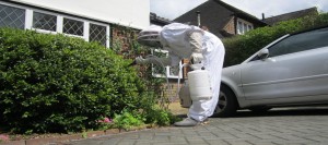 treating a wasps nest